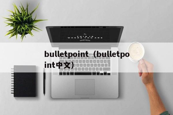 bulletpoint（bulletpoint中文）