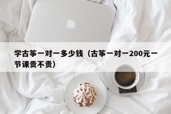 学古筝一对一多少钱（古筝一对一200元一节课贵不贵）