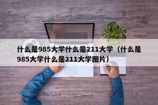 什么是985大学什么是211大学（什么是985大学什么是211大学图片）