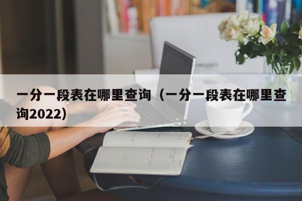 一分一段表在哪里查询（一分一段表在哪里查询2022）