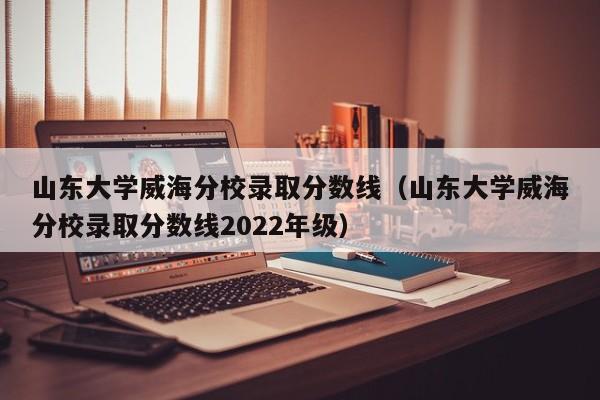 山东大学威海分校录取分数线（山东大学威海分校录取分数线2022年级）