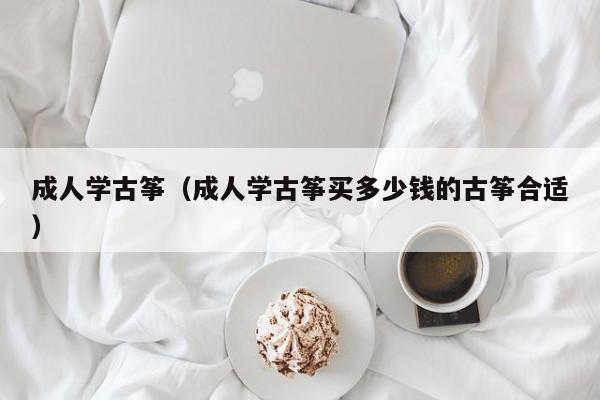 成人学古筝（成人学古筝买多少钱的古筝合适）