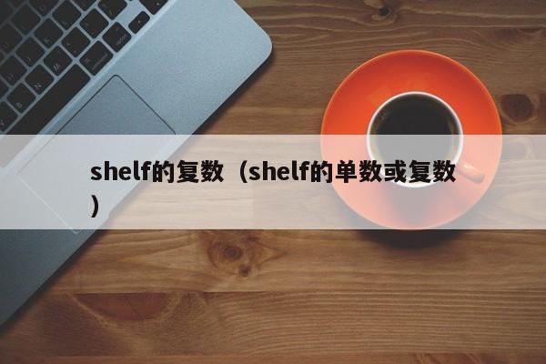 shelf的复数（shelf的单数或复数）