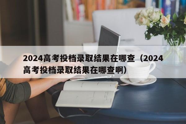 2024高考投档录取结果在哪查（2024高考投档录取结果在哪查啊）