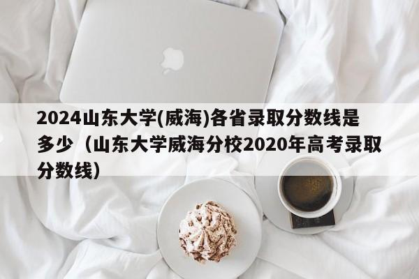 2024山东大学(威海)各省录取分数线是多少（山东大学威海分校2020年高考录取分数线）