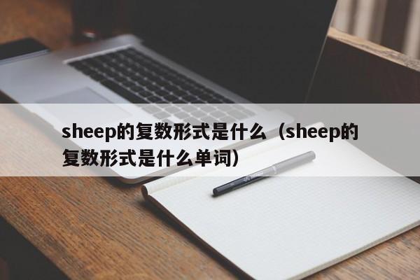 sheep的复数形式是什么（sheep的复数形式是什么单词）