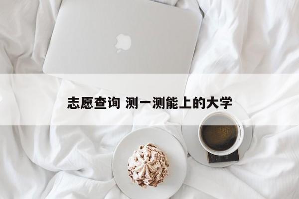 志愿查询 测一测能上的大学