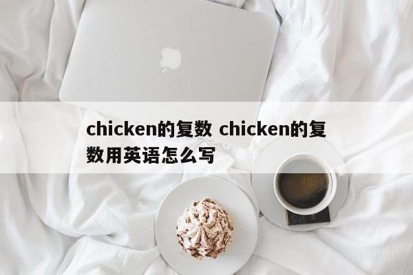 chicken的复数 chicken的复数用英语怎么写