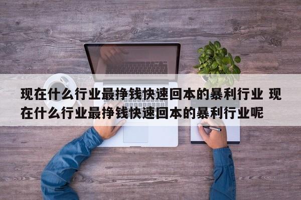 现在什么行业最挣钱快速回本的暴利行业 现在什么行业最挣钱快速回本的暴利行业呢